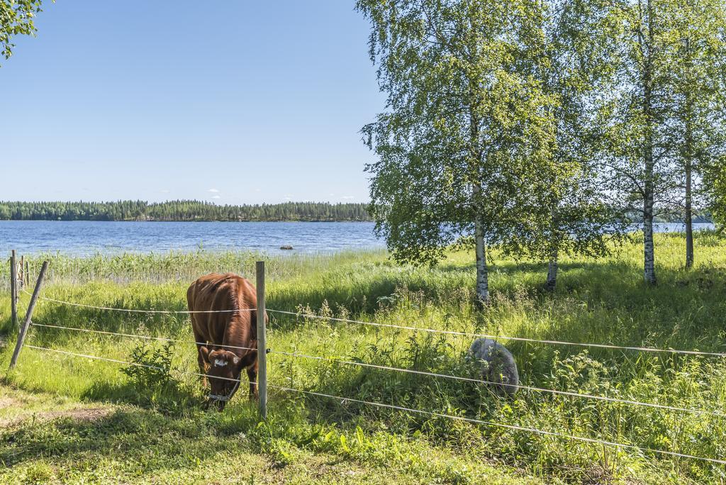Hyvoelaen Talo Bed and Breakfast Ähtäri Eksteriør billede